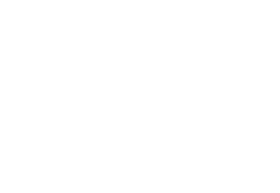 Navigator pro logo