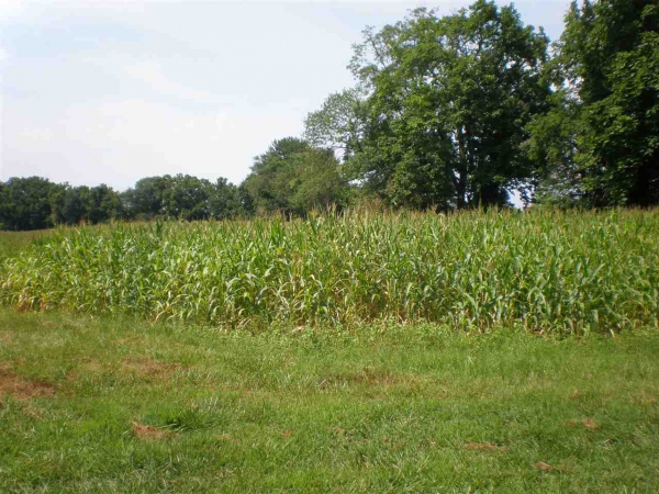 4640 E Giro Road, 4640 E Giro Road, Hazelton, IN 47640