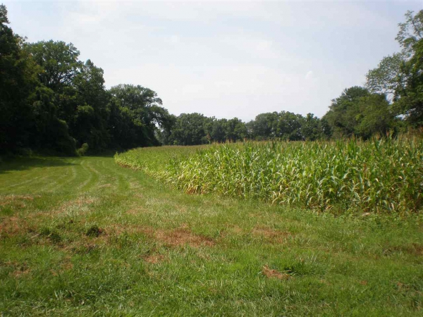 4640 E Giro Road, 4640 E Giro Road, Hazelton, IN 47640