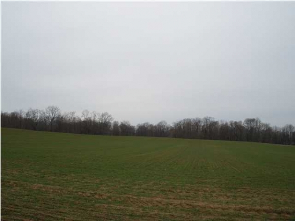 Fantastic Farm & Rec Ground, 1000 US Highway 41, Hazleton, IN 47640