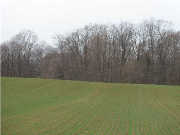 Fantastic Farm & Rec Ground, 1000 US Highway 41, Hazleton, IN 47640