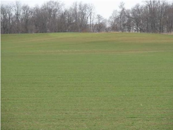 Fantastic Farm & Rec Ground, 1000 US Highway 41, Hazleton, IN 47640