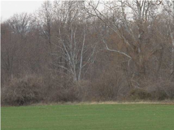 Fantastic Farm & Rec Ground, 1000 US Highway 41, Hazleton, IN 47640