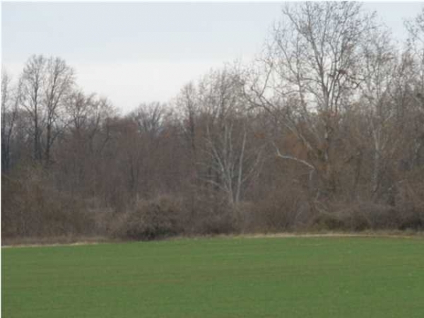 Fantastic Farm & Rec Ground, 1000 US Highway 41, Hazleton, IN 47640