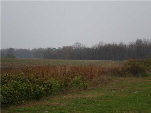 19 Acres, Higway US 41, Princeton, IN