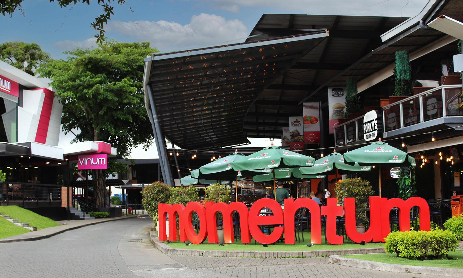 Momentum