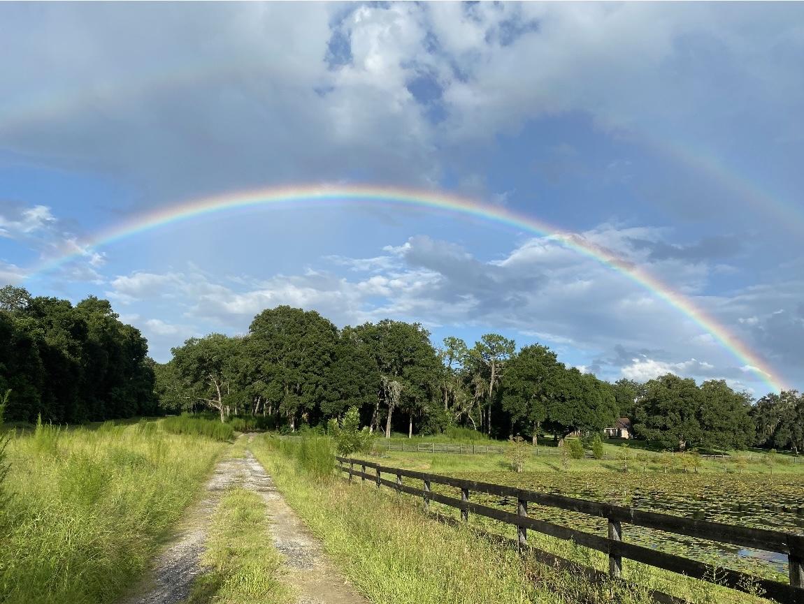 10+ acres Adjoining Wekiva State Park FOR SALE on 3415 Rock Springs Rd
