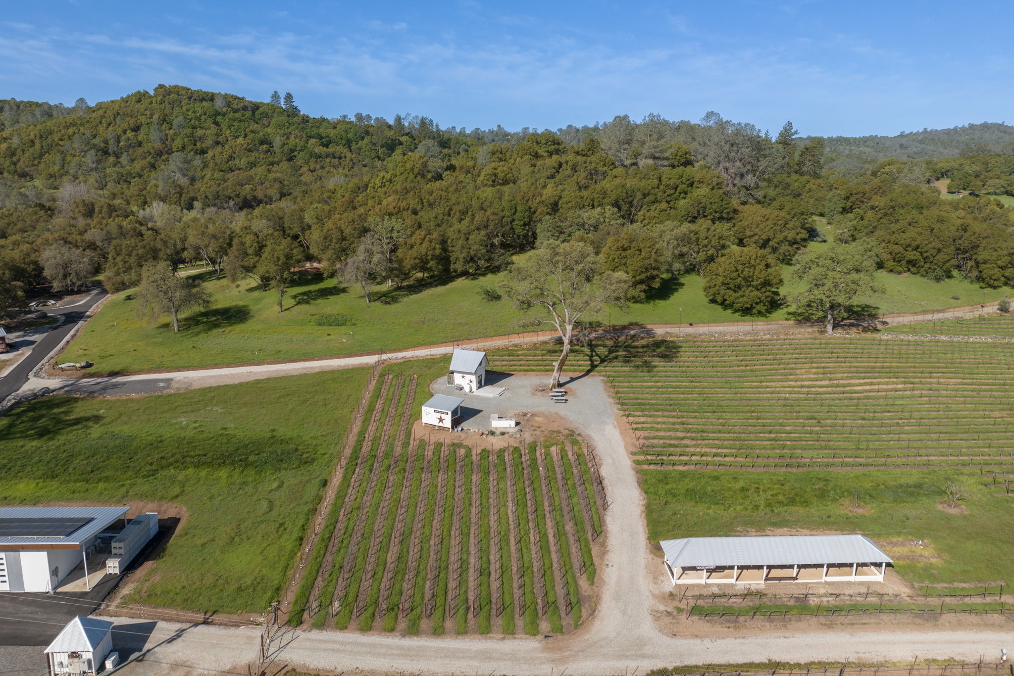 Prospect 772 Winery, 772 Appaloosa Road, Angels Camp, CA 95222