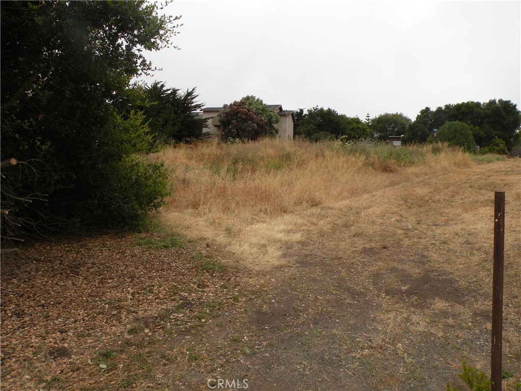Land -Multi-Family Acreage in MORRO BAY
