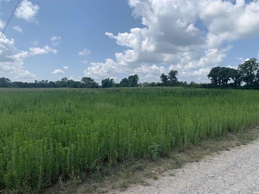700 S, 700 South, Owensville, IN 47665
