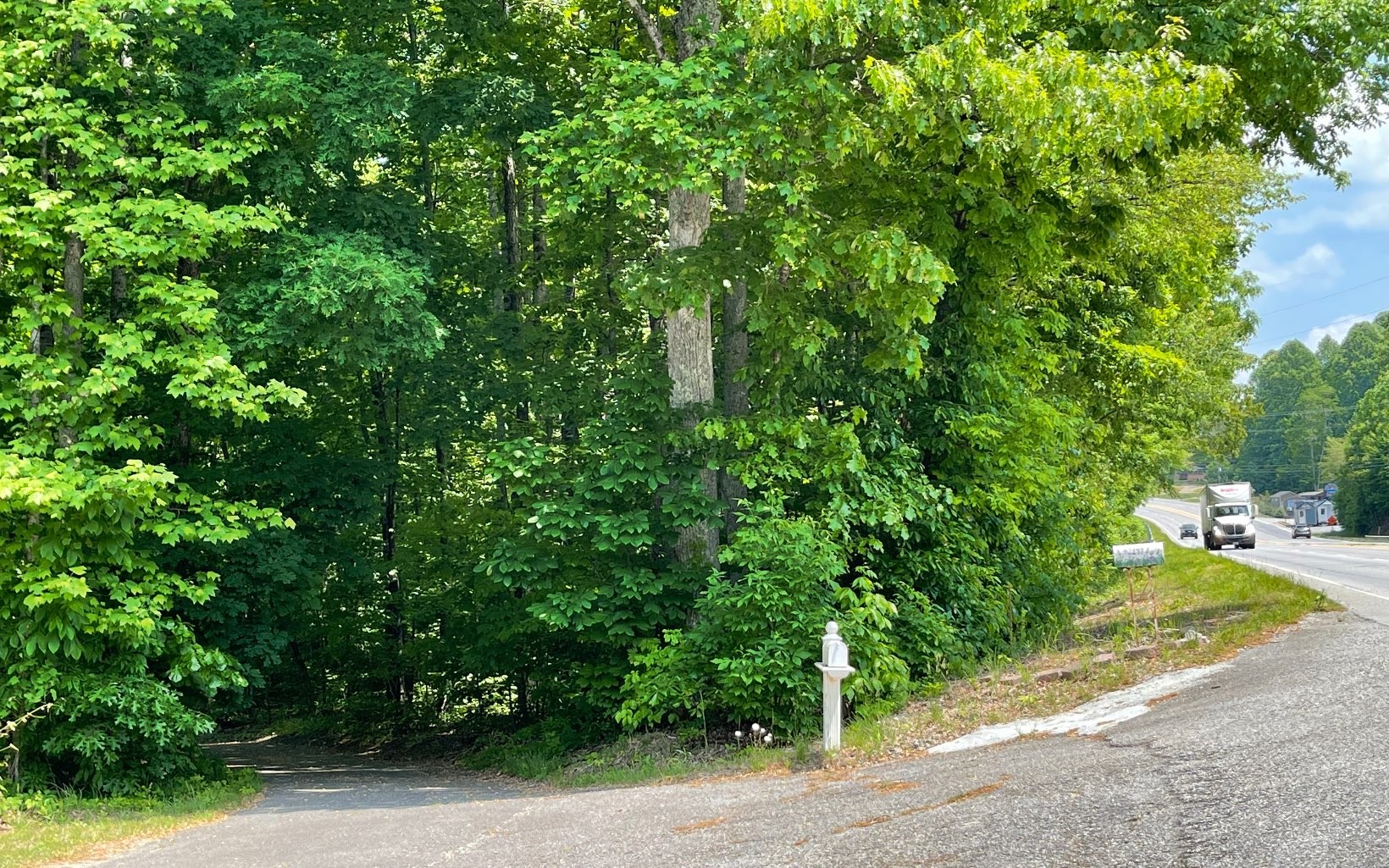 Commercial-Other in Hiawassee