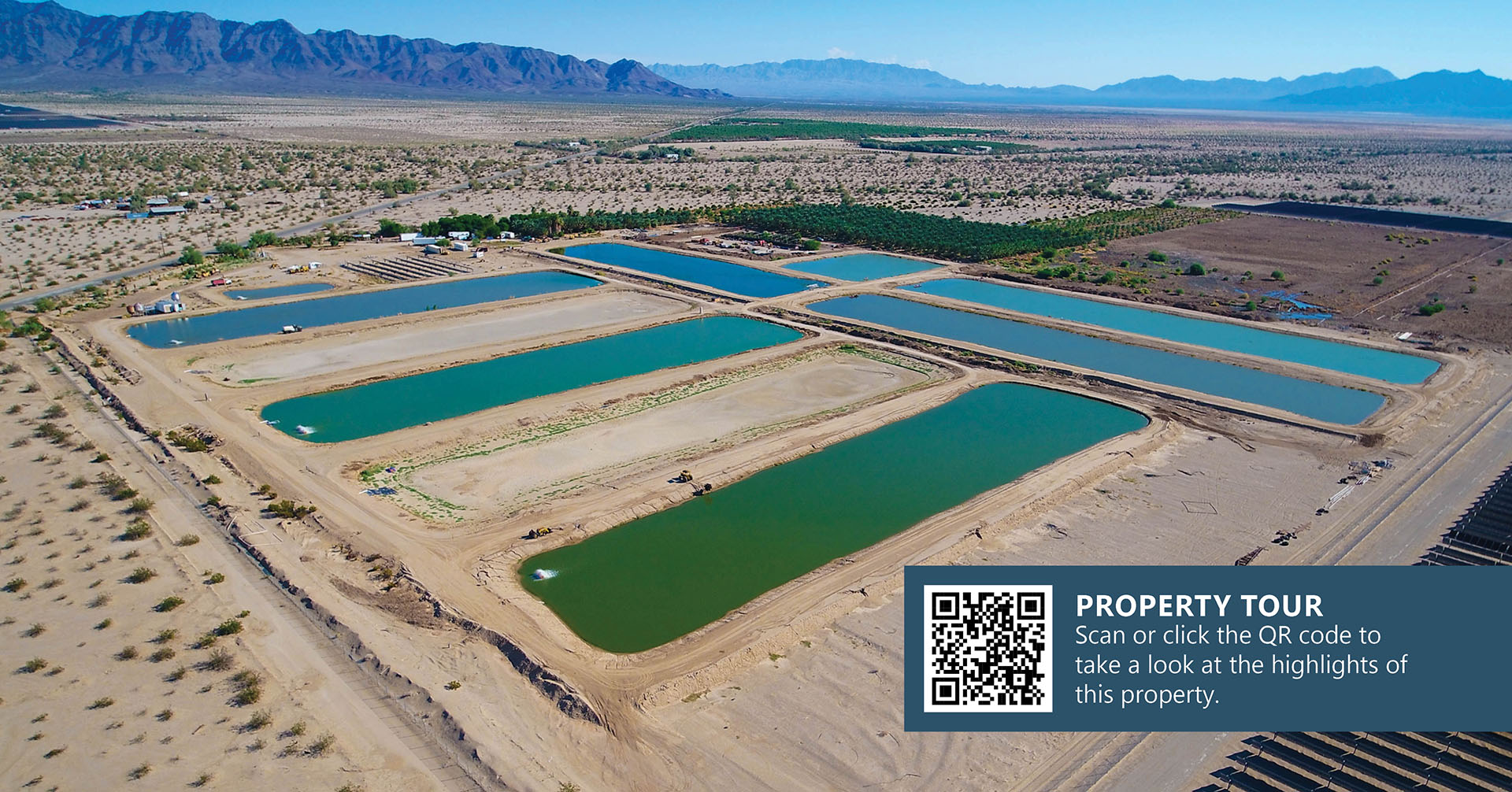 Turnkey Fish Farm & Date Ranch