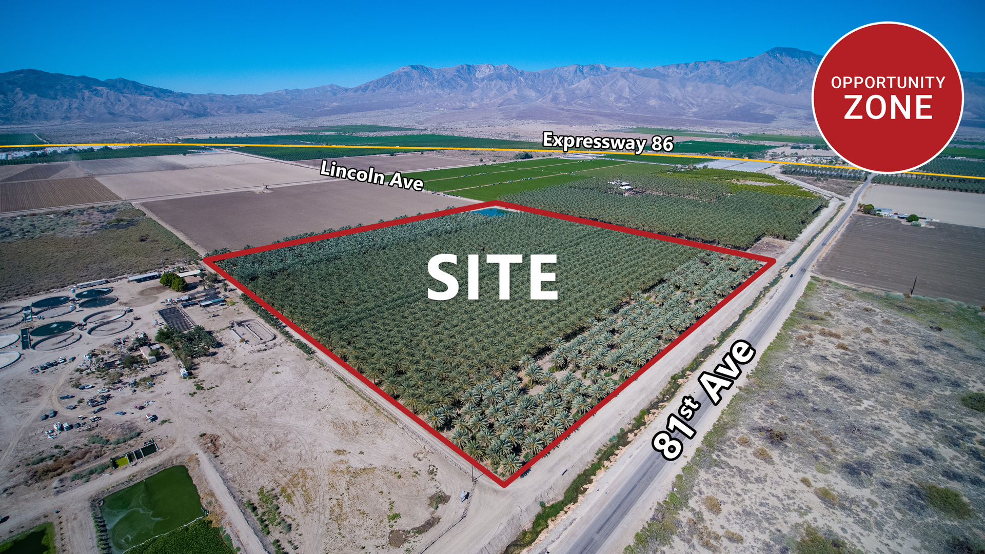 39.12 AC Organic Date Ranch
