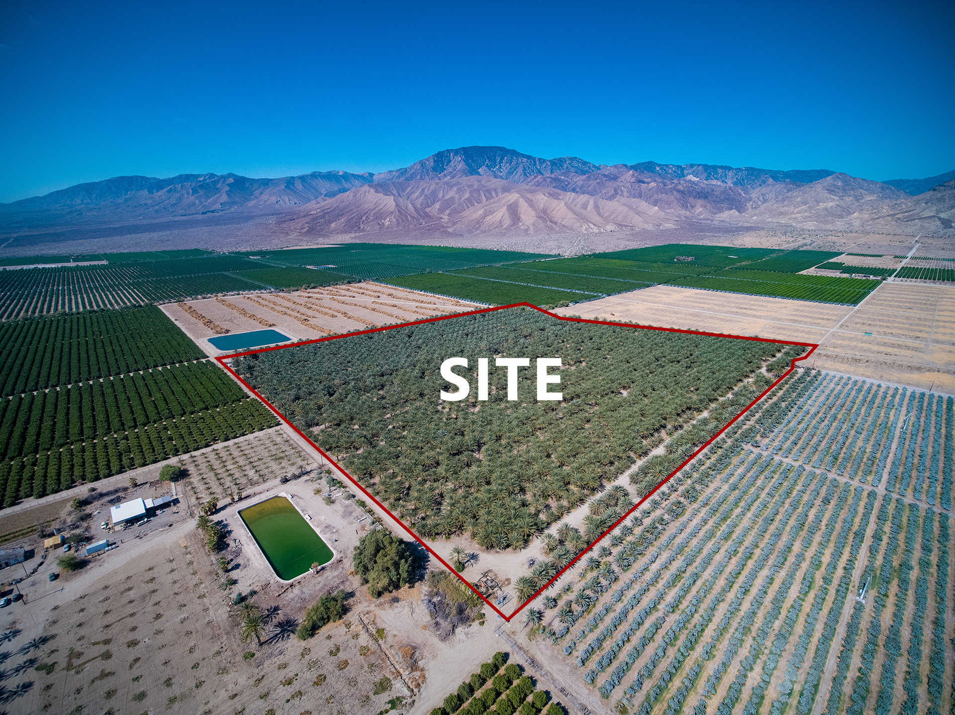 40.74 AC Organic Date Ranch