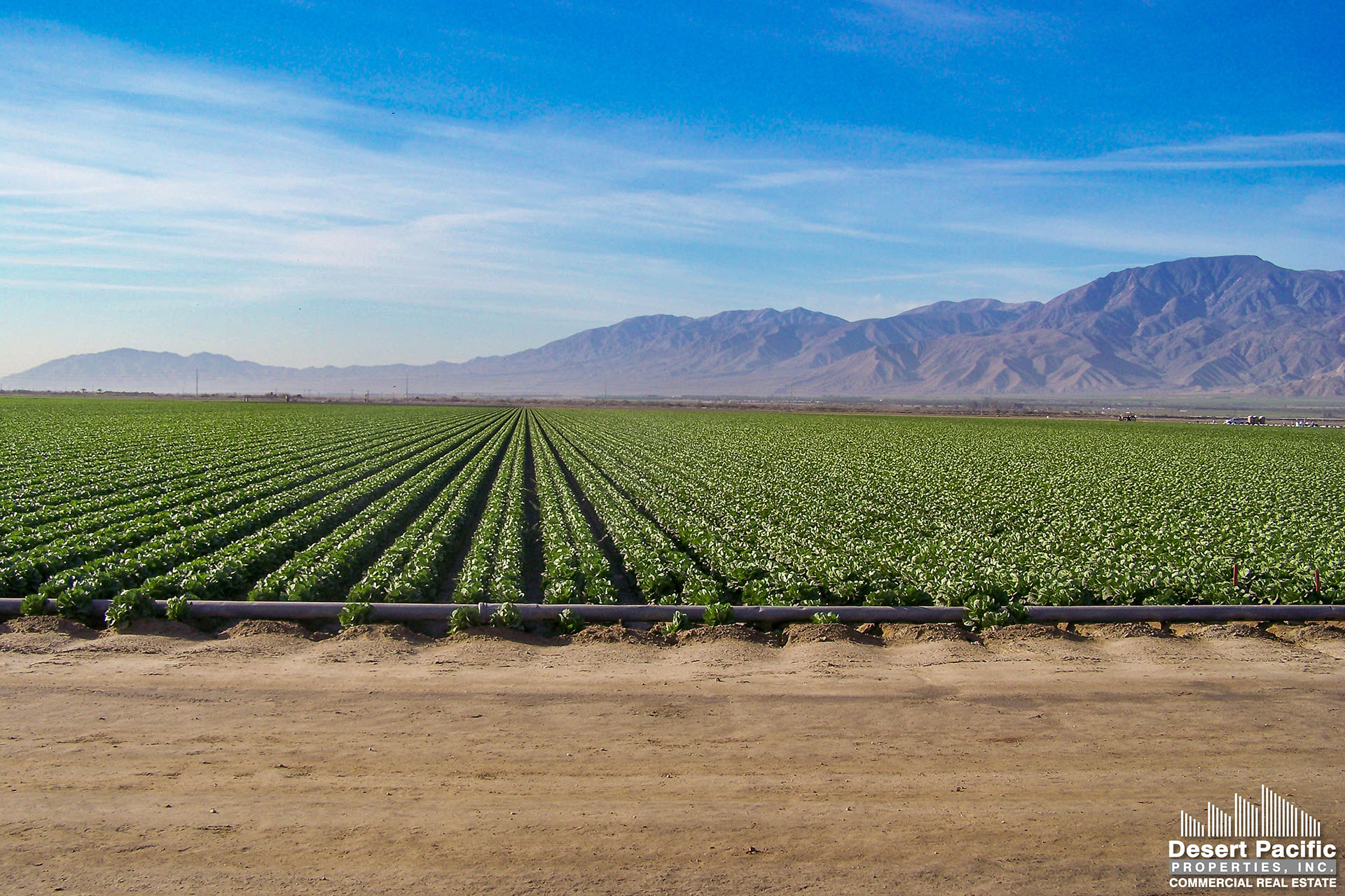118.62 AC Farmground For Lease