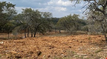 5.27 Commercial Acres in Bulverde, TX — Sale in Bulverde, TX, photo 3 of 8