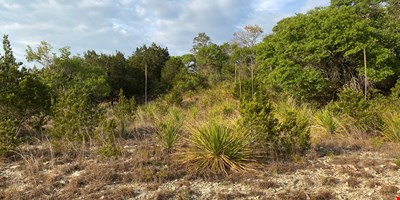 5.27 Commercial Acres in Bulverde, TX — Sale in Bulverde, TX, photo 5 of 8