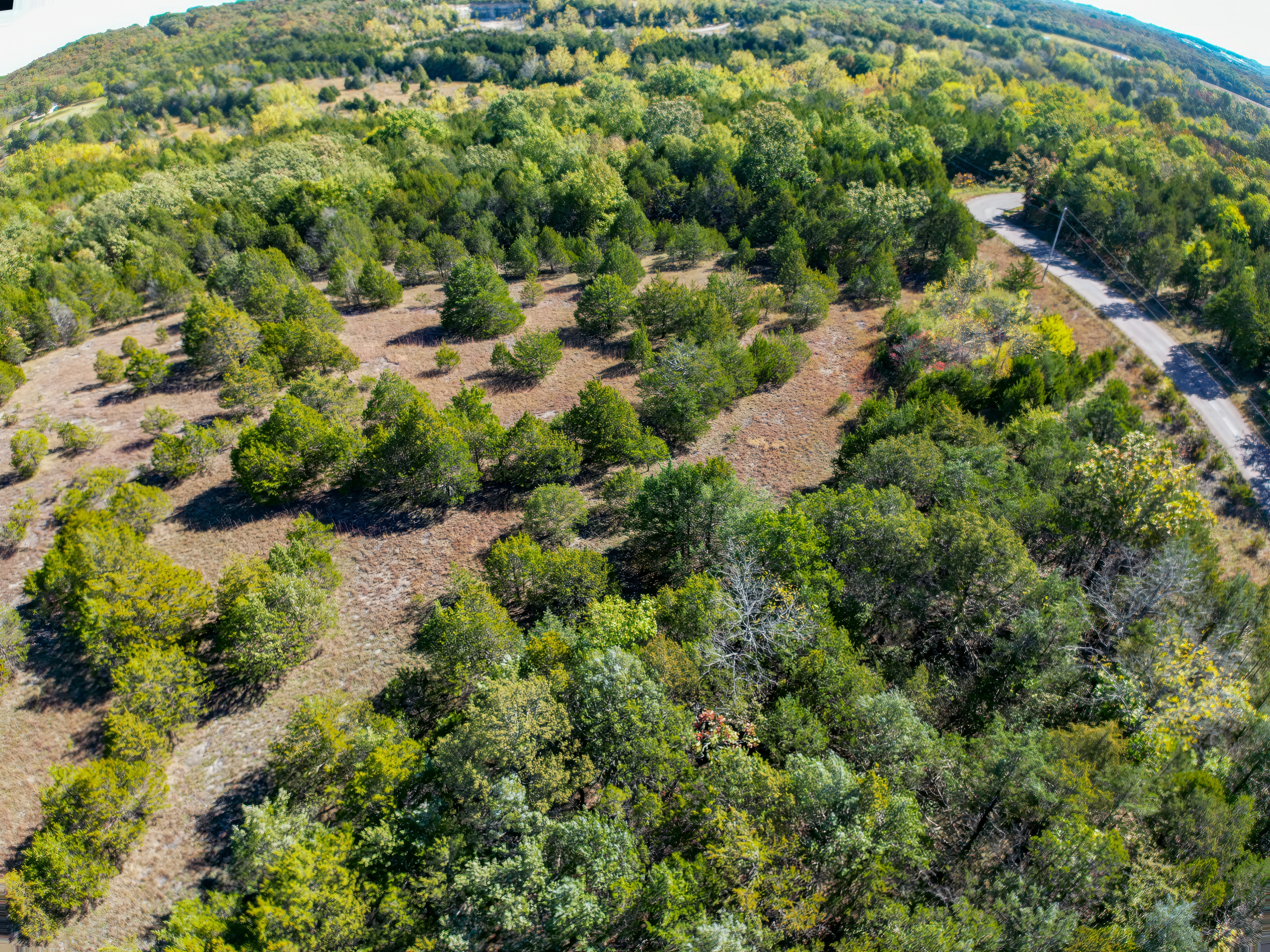 Missouri Land For Sale At Auction