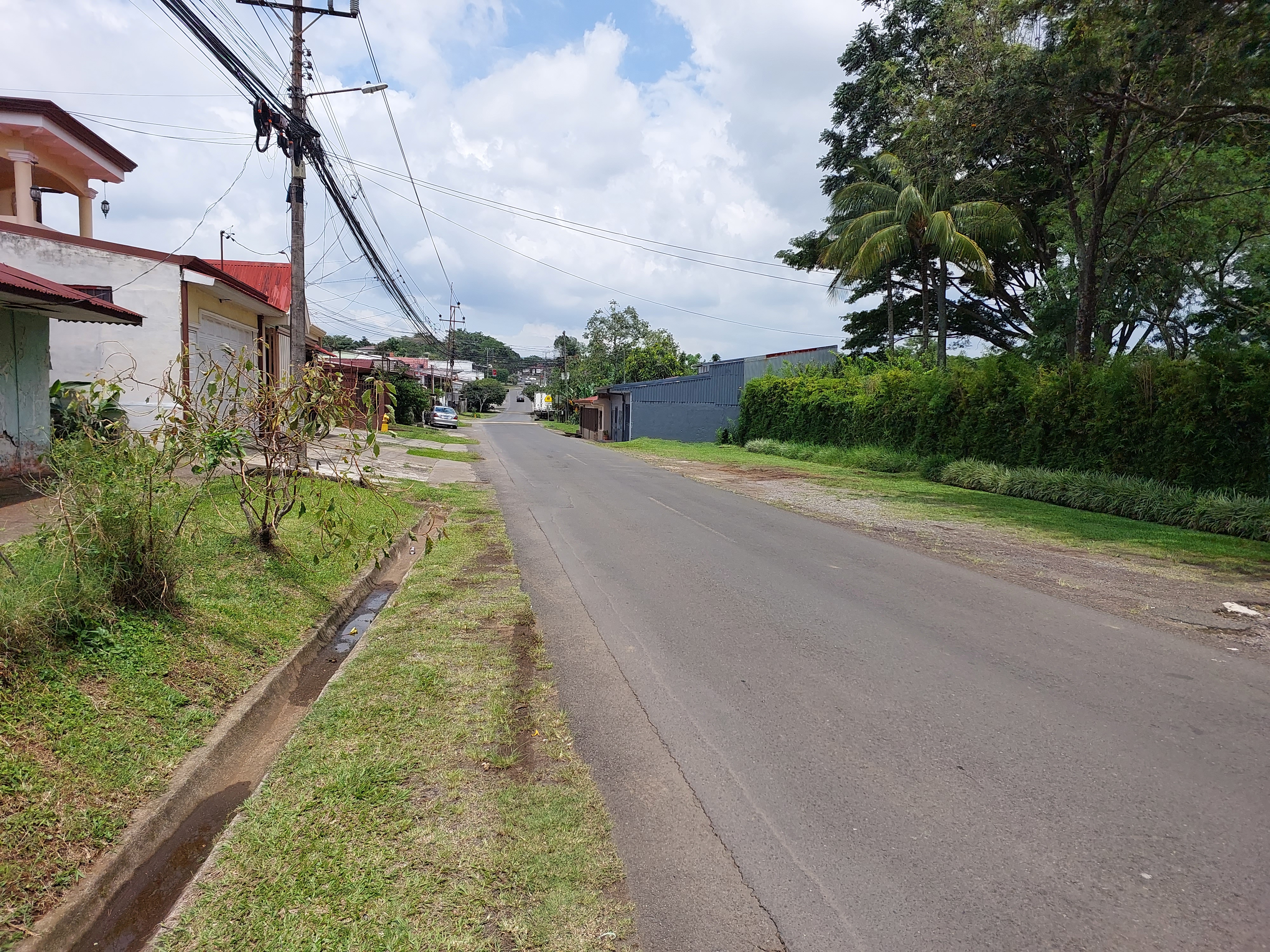 Lote Barrantes de Flores, Heredia