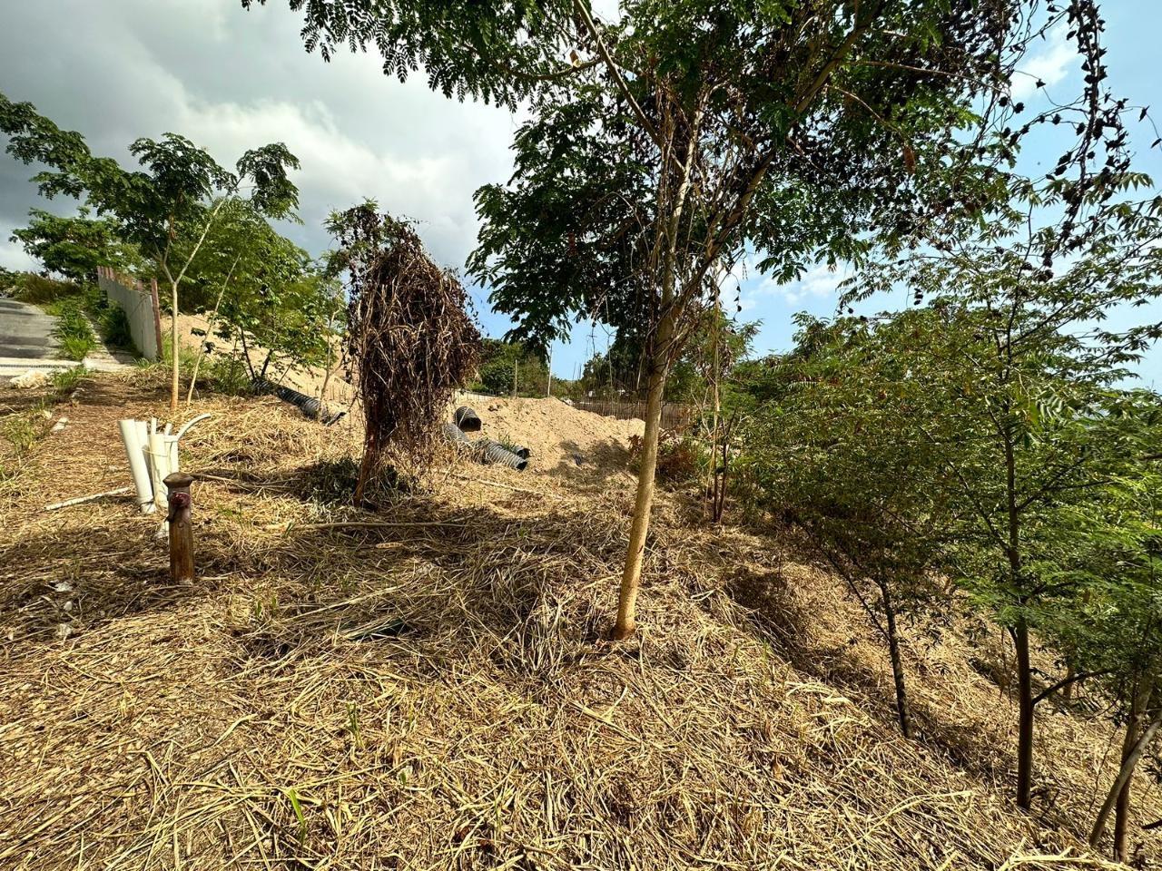 Vacant Land in Kingston & St. Andrew