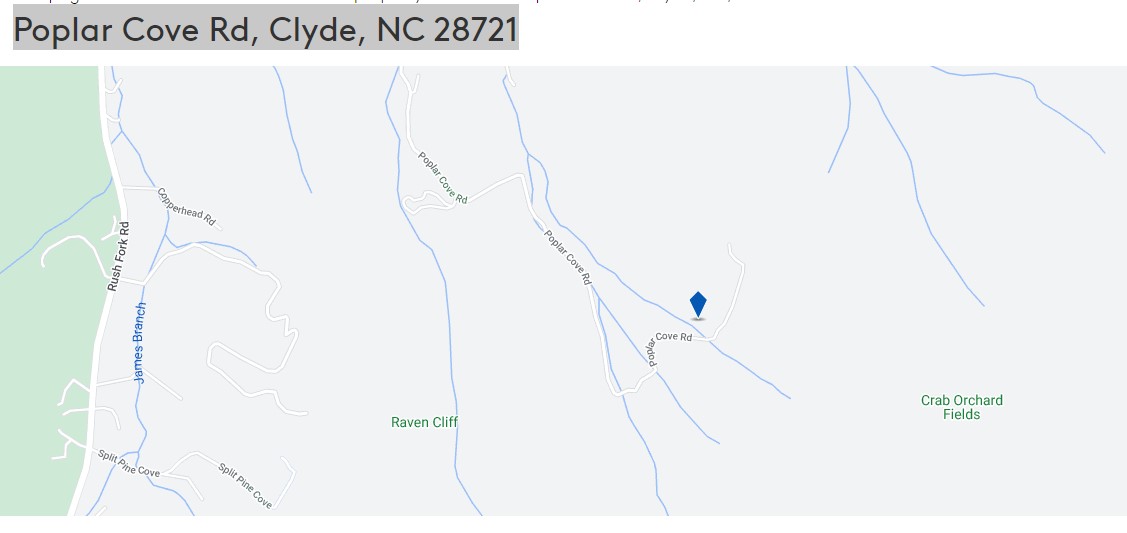 vacant land for sale  in Haywood county