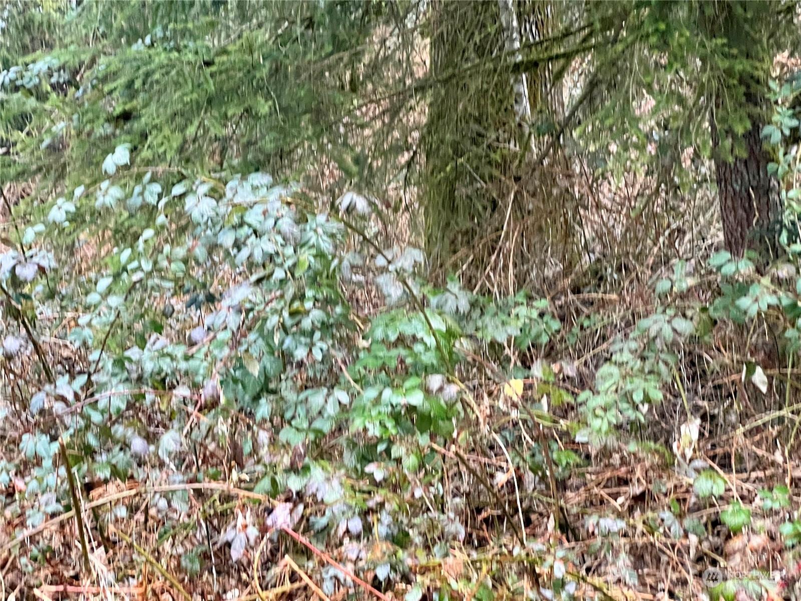 Land -Single Family Acreage in ARLINGTON
