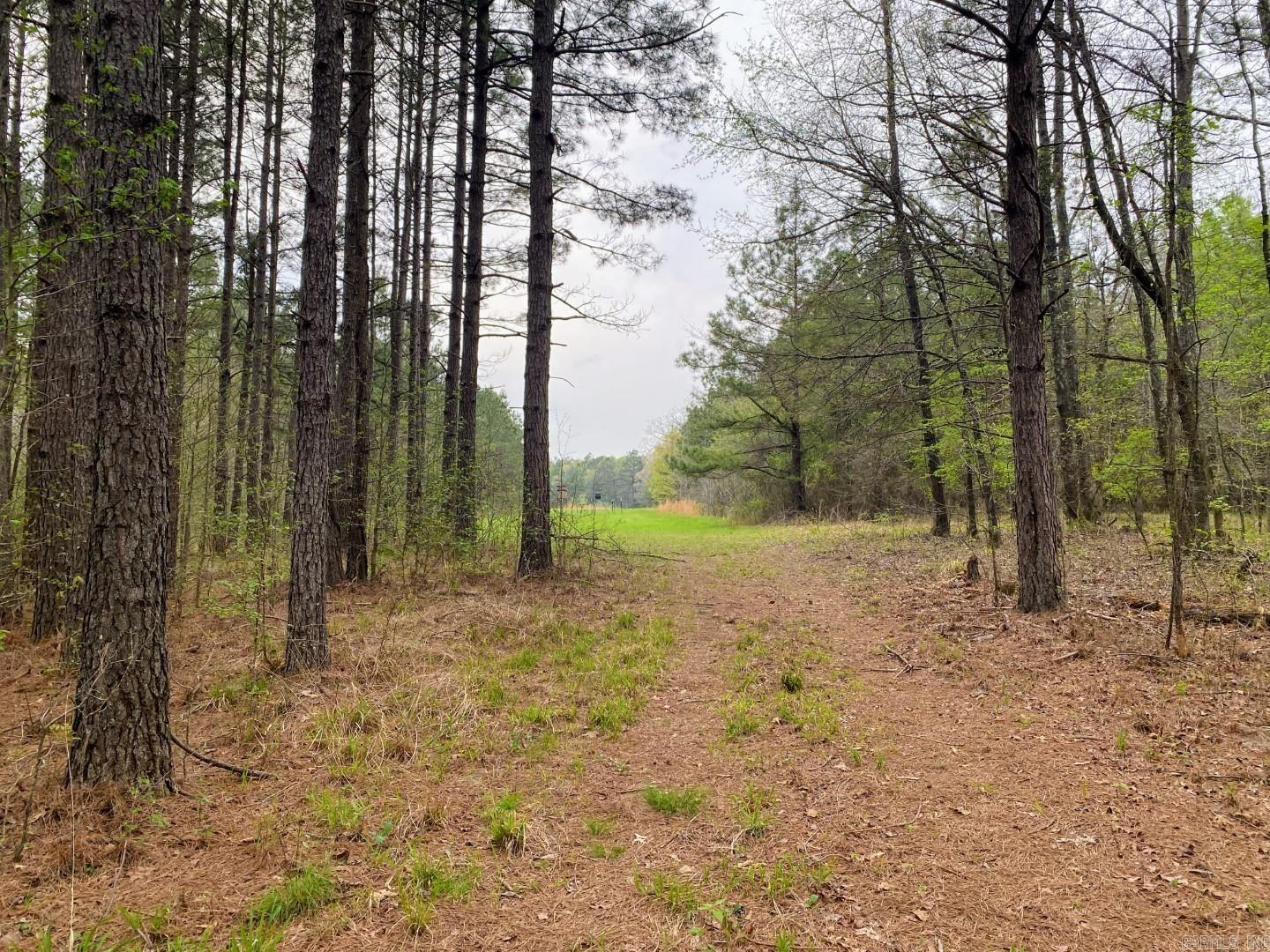 Land -Single Family Acreage in Gurdon