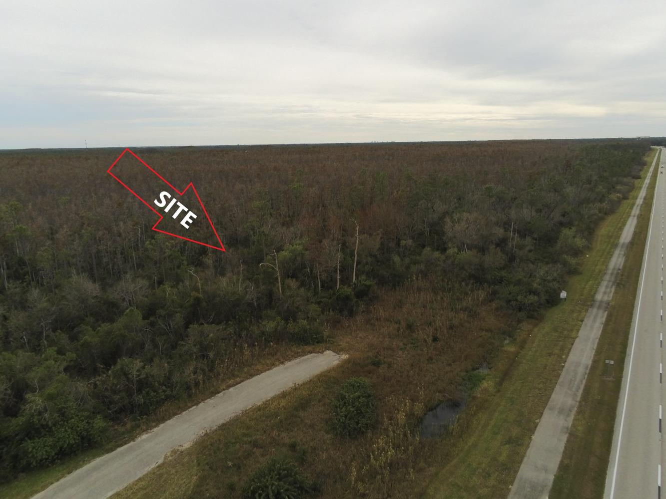 Looking for land next to a nature park?, 10581 Ben C Pratt/Six Mile Cypress Parkway, Fort Myers, FL 33966