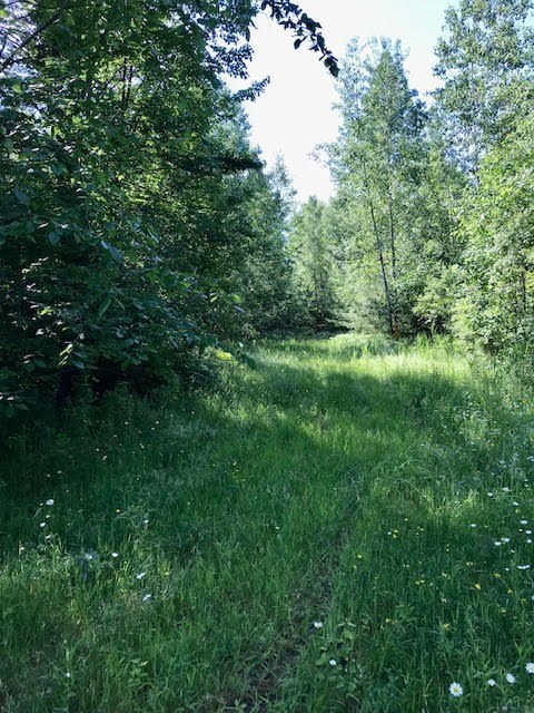 0 Bear Swamp Road, 0 Bear Swamp Road, Peru, NY 12972