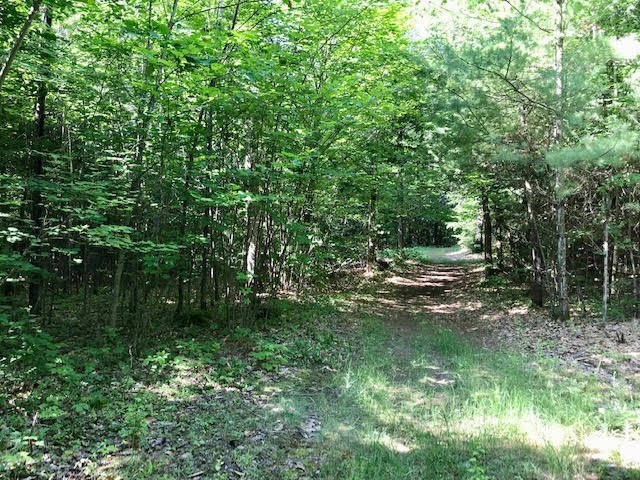 0 Bear Swamp Road, 0 Bear Swamp Road, Peru, NY 12972