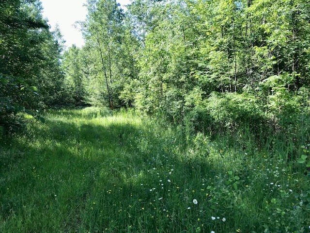 0 Bear Swamp Road, 0 Bear Swamp Road, Peru, NY 12972