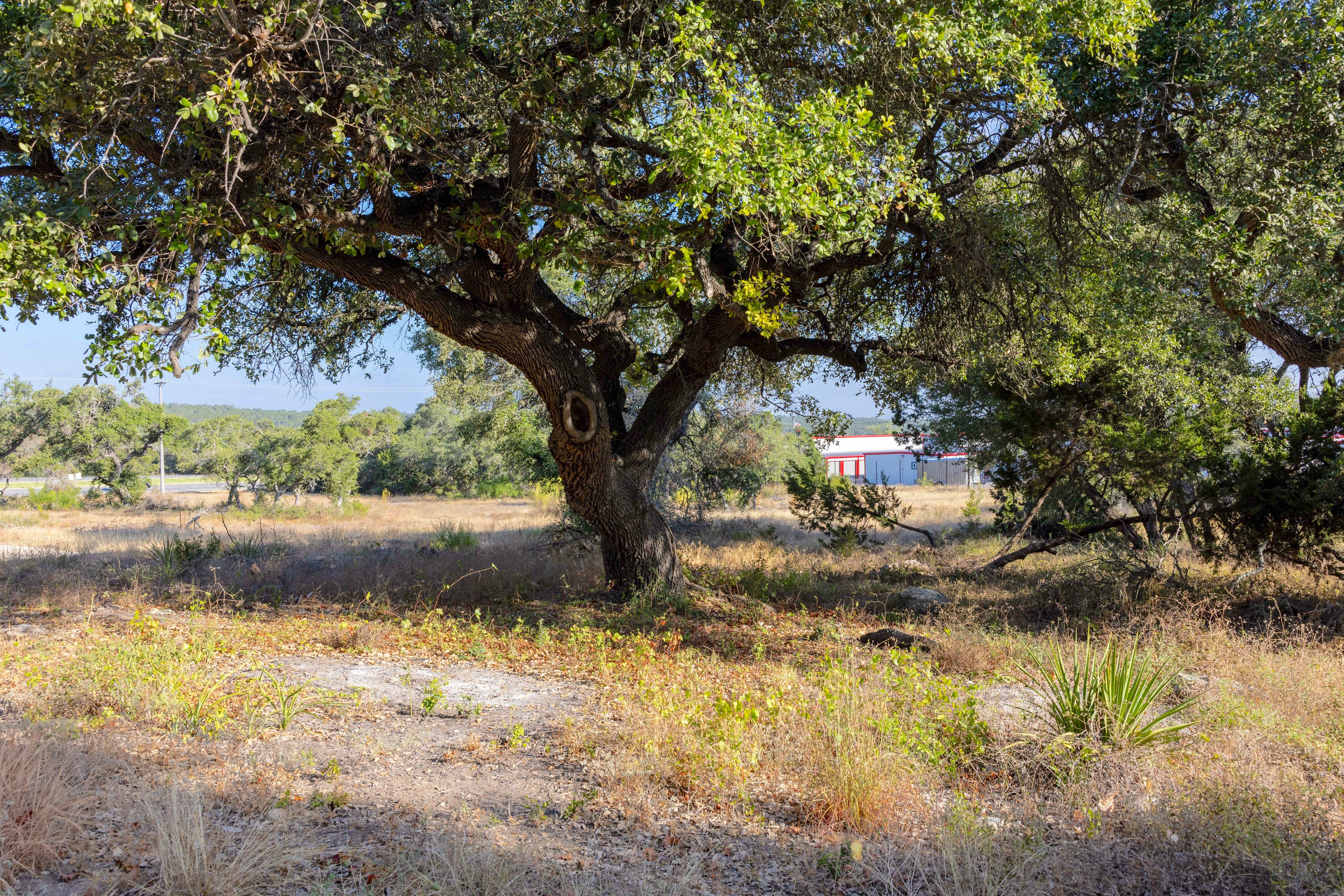 5 Acres - 5324 US Hwy 281 N, 5324 US Highway 281 N, Spring Branch, TX 78070