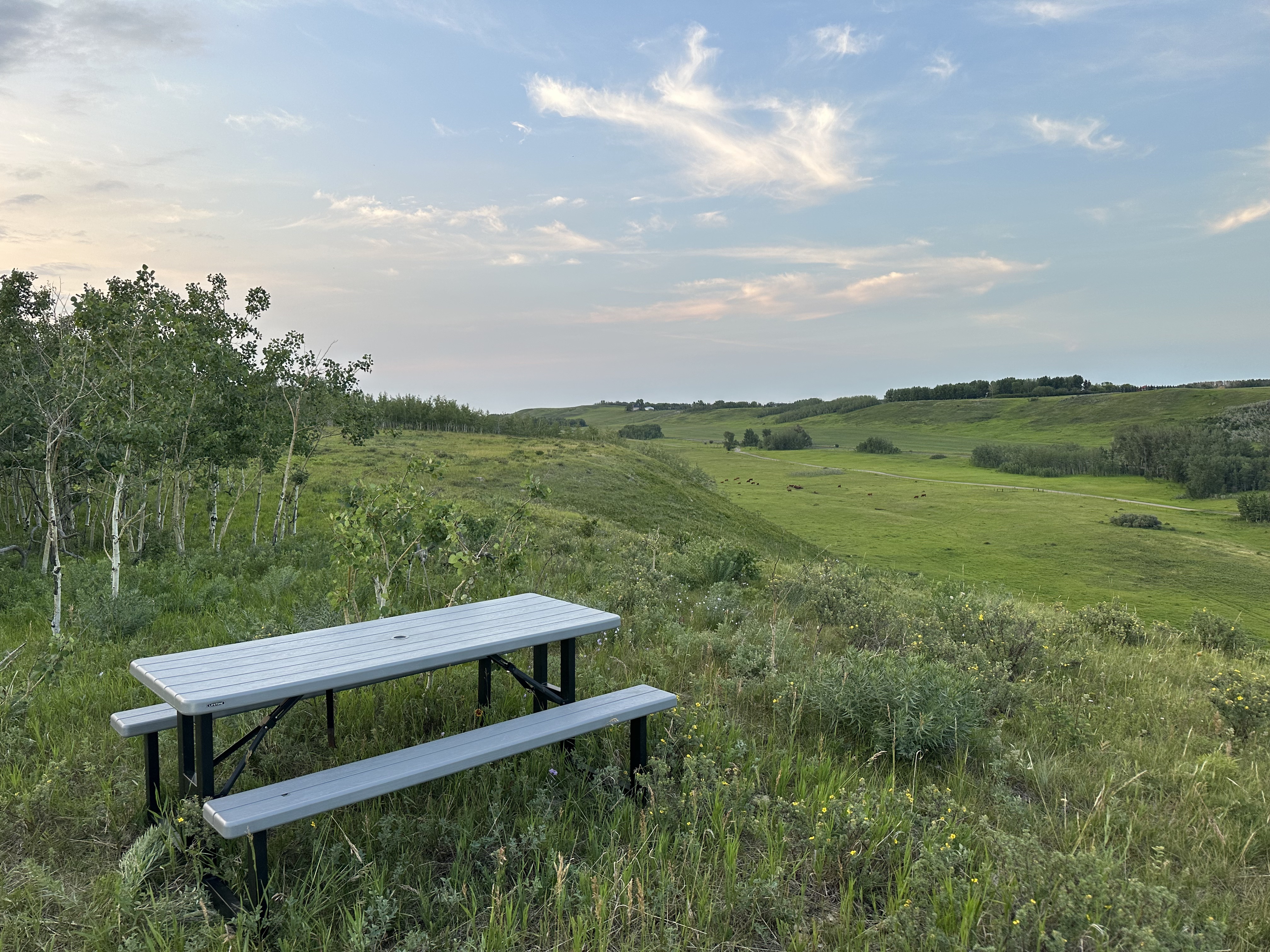 The Springs at DeWinton, 274 Avenue & 5th Street, DeWinton, AB T1S 1A2, Canada