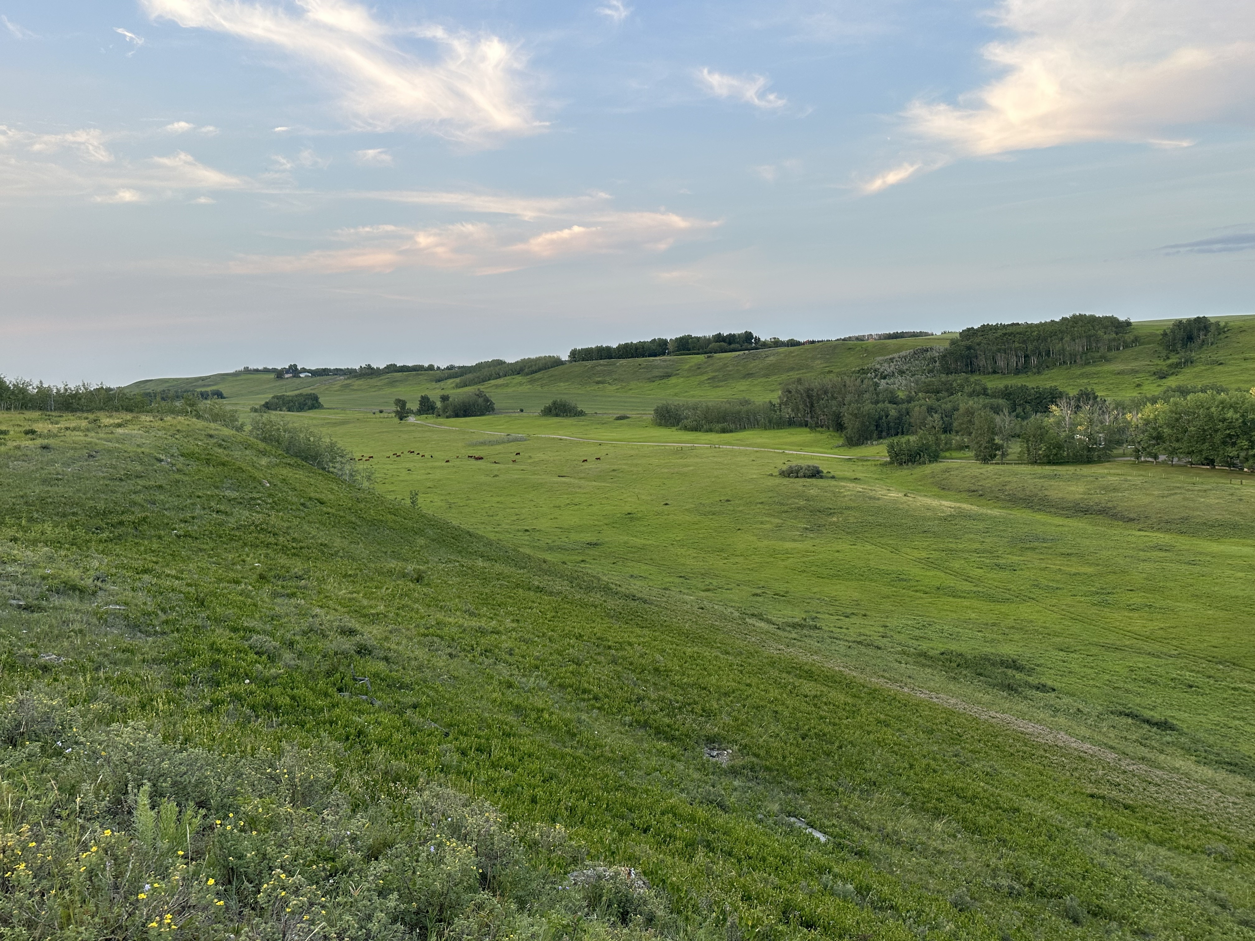 The Springs at DeWinton, 274 Avenue & 5th Street, DeWinton, AB T1S 1A2, Canada