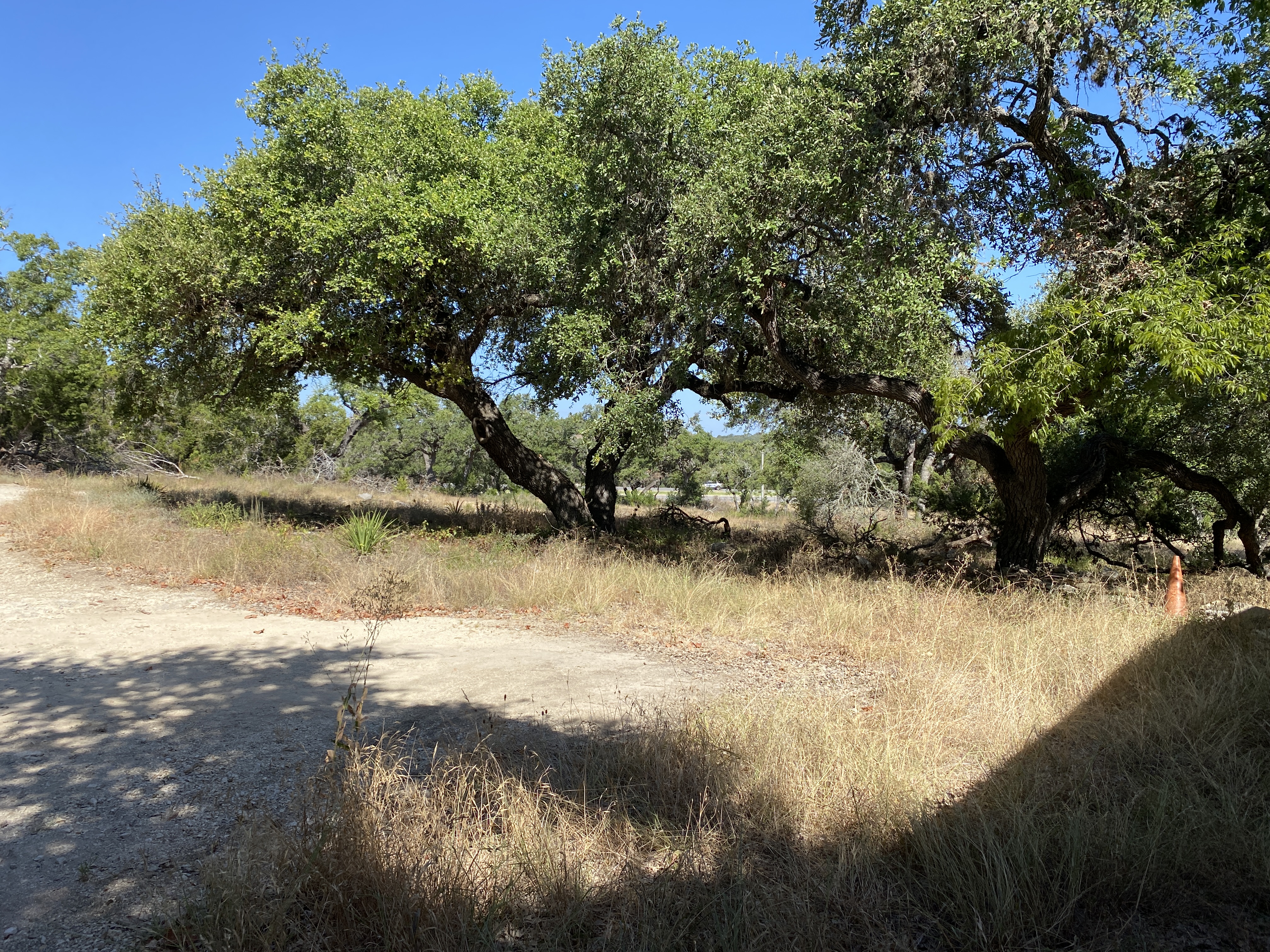 5 Acres - 5324 US Hwy 281 N, 5324 US Highway 281 N, Spring Branch, TX 78070