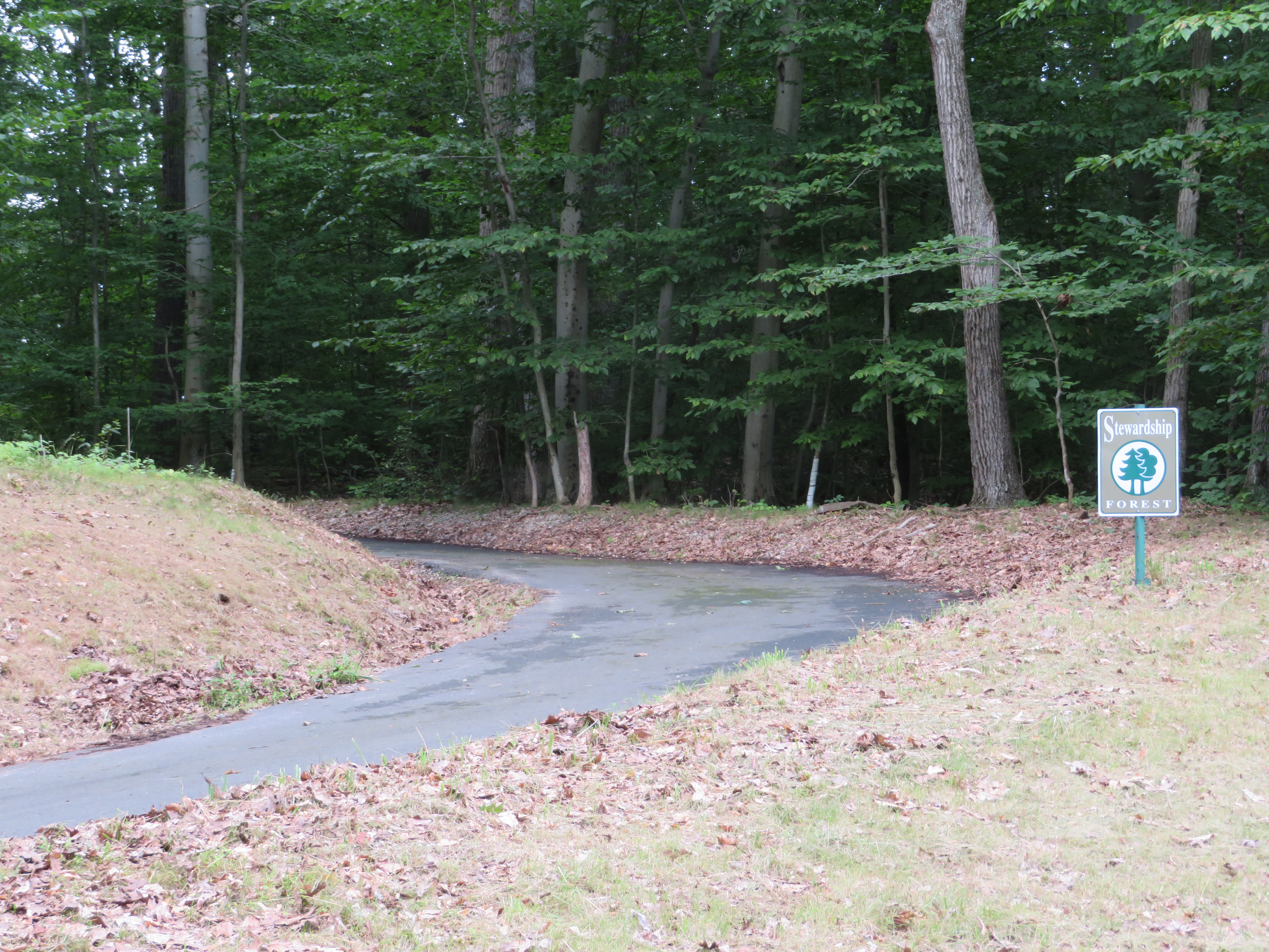 Creek Rd, Alexandria Twp, NJ 08825