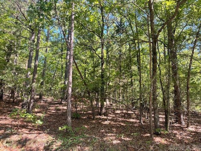 Land -Single Family Acreage in North Little Rock