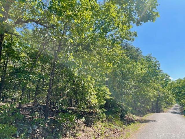 Land -Single Family Acreage in North Little Rock