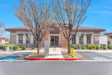 2534 Anthem Village For Sale-Owner Financing-Market Rates!