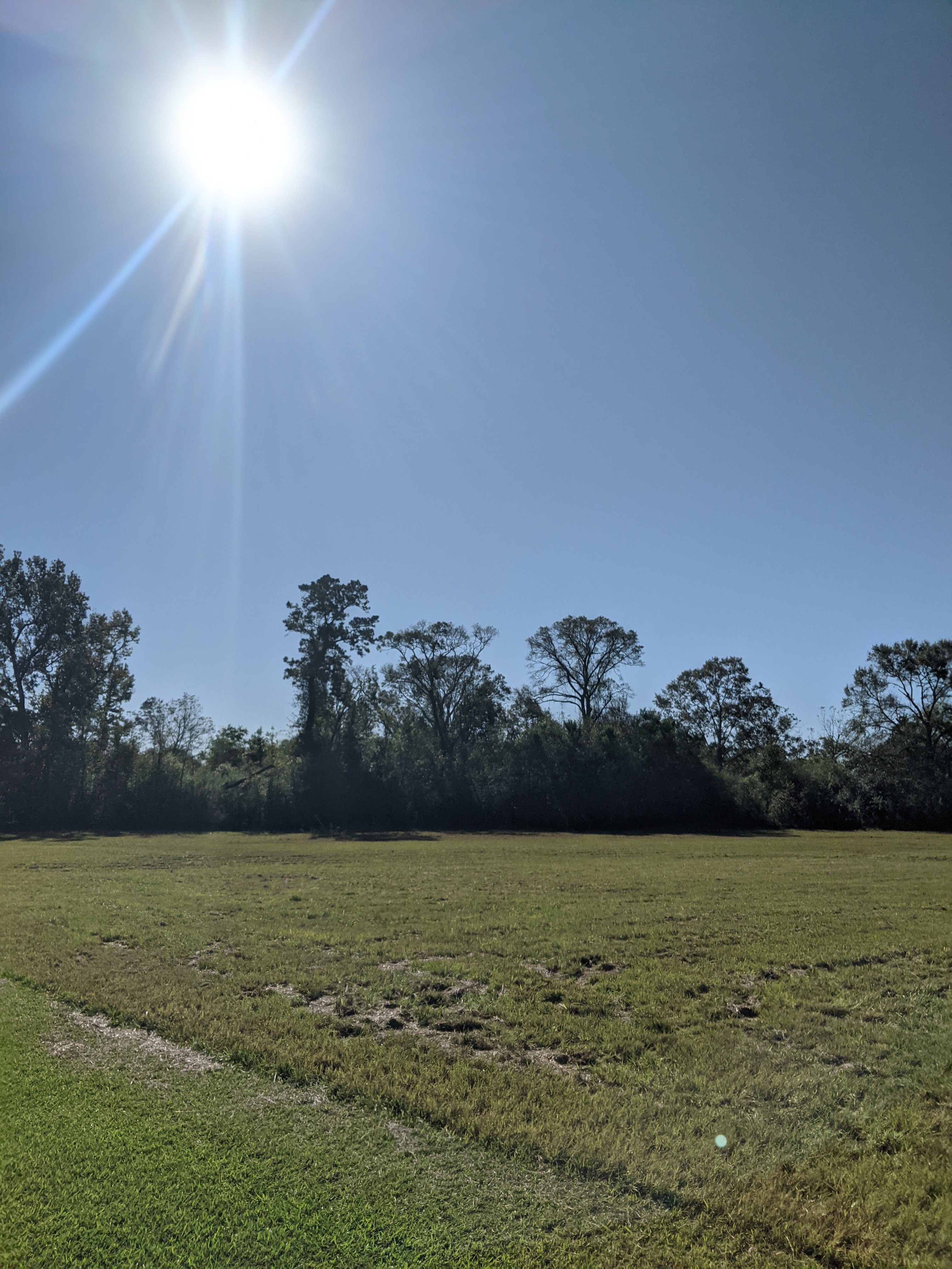 4413 Highway 10, Ethel, LA  70730        4.54 Acres to Develop