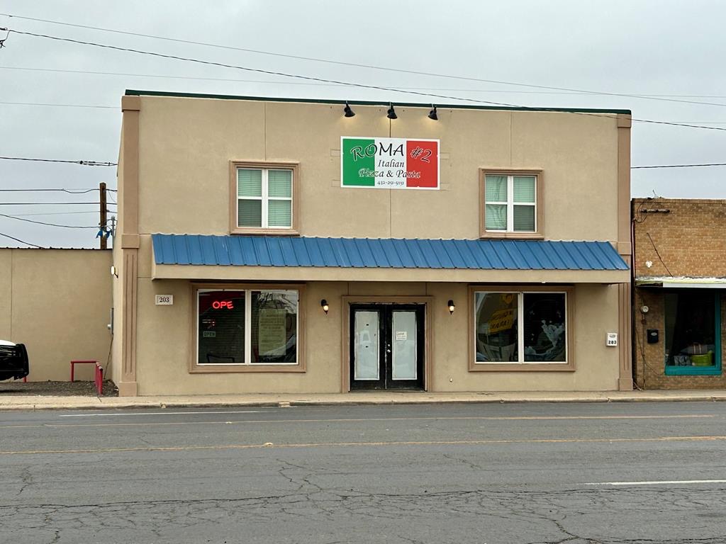 203 W Sealy Ave, 203 West Sealy Avenue, Monahans, TX 79756