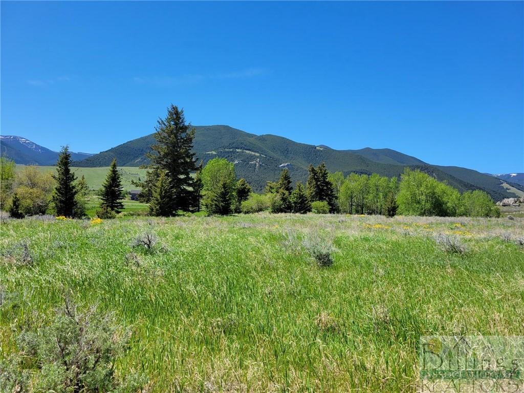 Vacant Land in Red Lodge