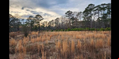Seven(7) Different 10 acre lots in Wallace NC