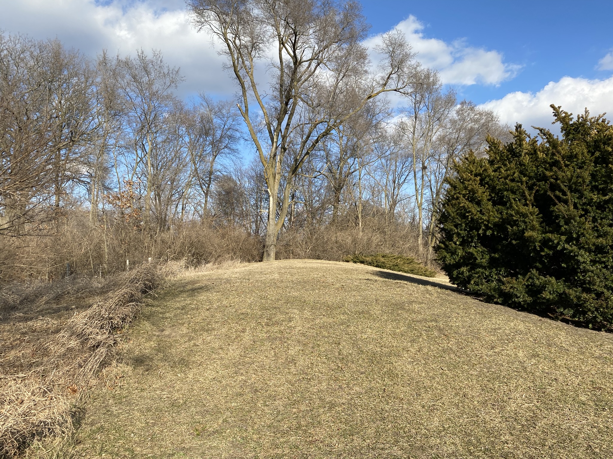 North Hilliard Street, Wheatfield, IN 46392