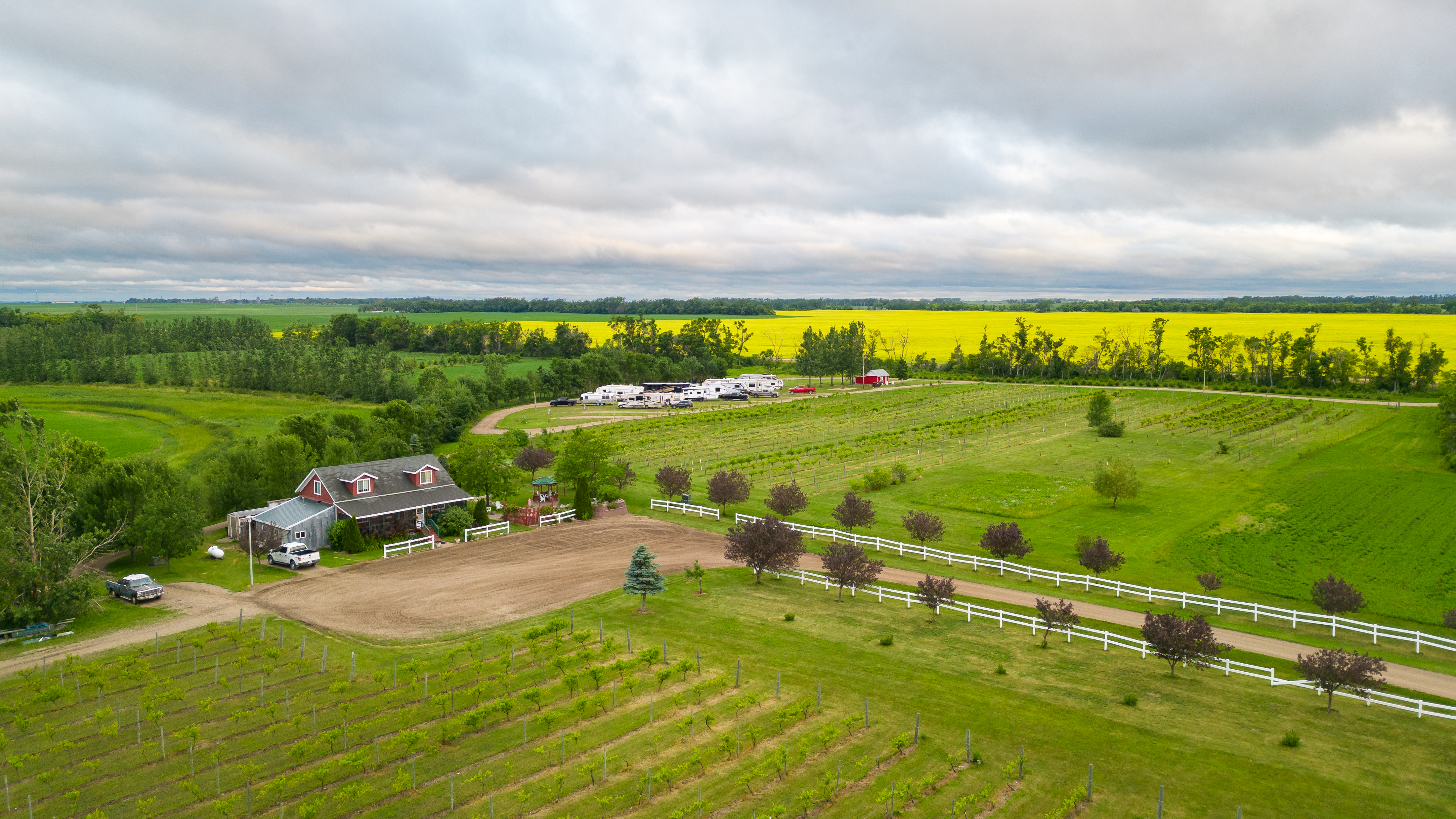 Red Trail Vineyard with Campground, 3510 142nd Avenue Southeast, Buffalo, ND 58011