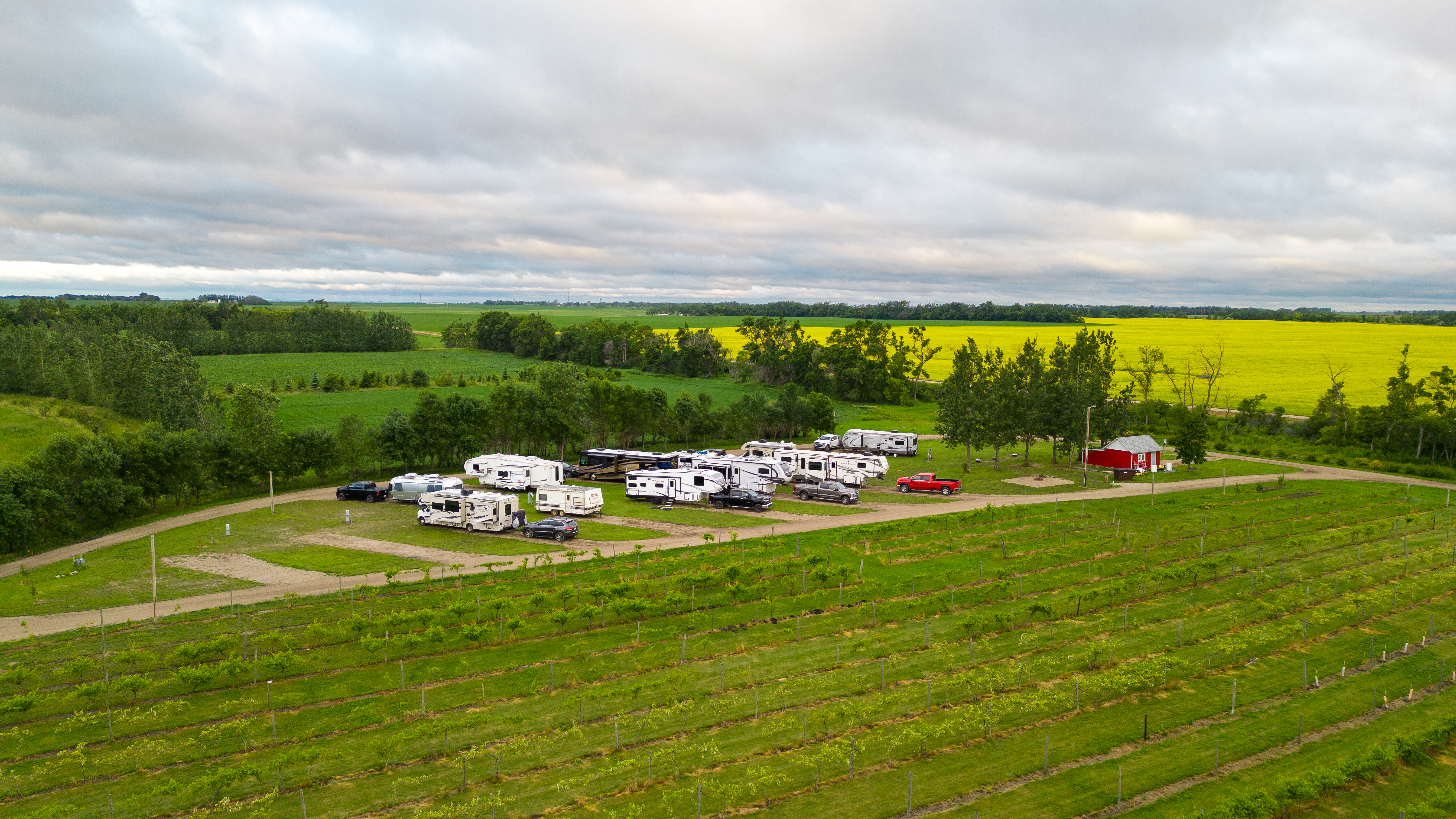 Red Trail Vineyard with Campground, 3510 142nd Avenue Southeast, Buffalo, ND 58011