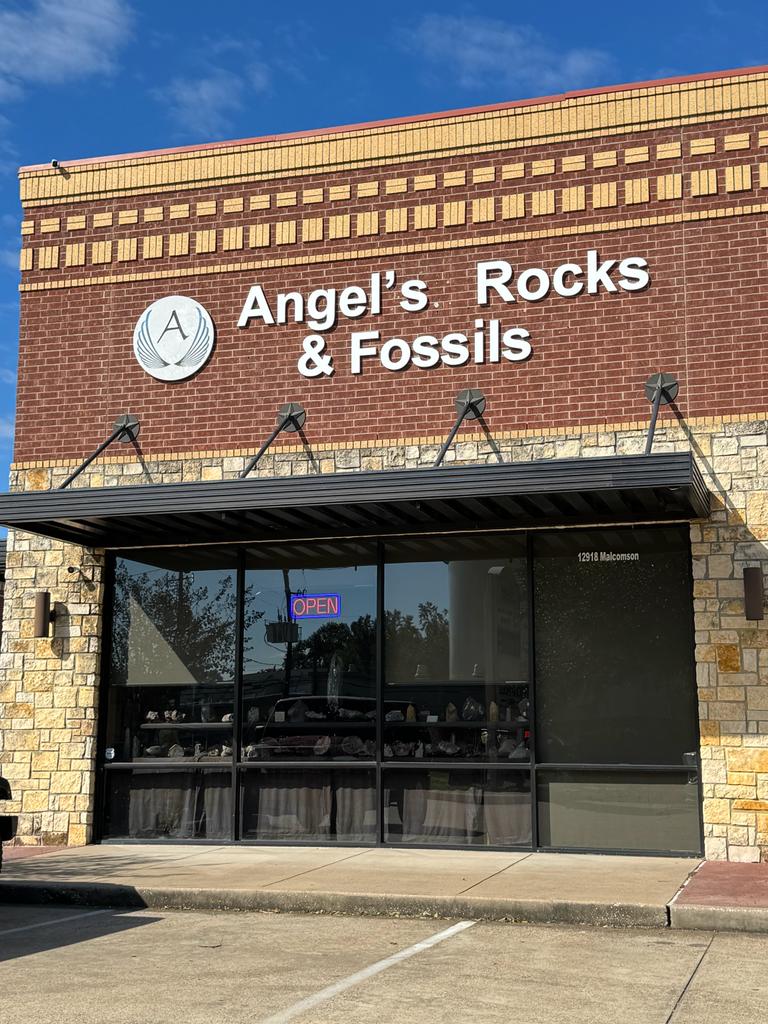 12910 Malcomson Road, Cypress, TX 77429