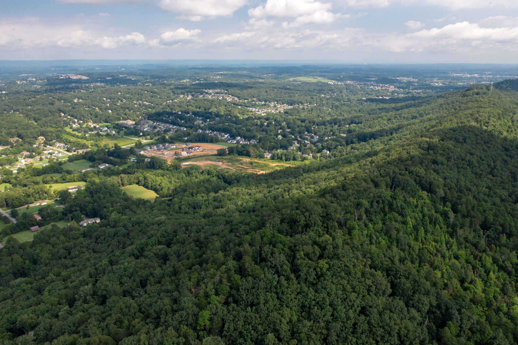 Investment - Development Opportunity in Ooltewah 51 acres