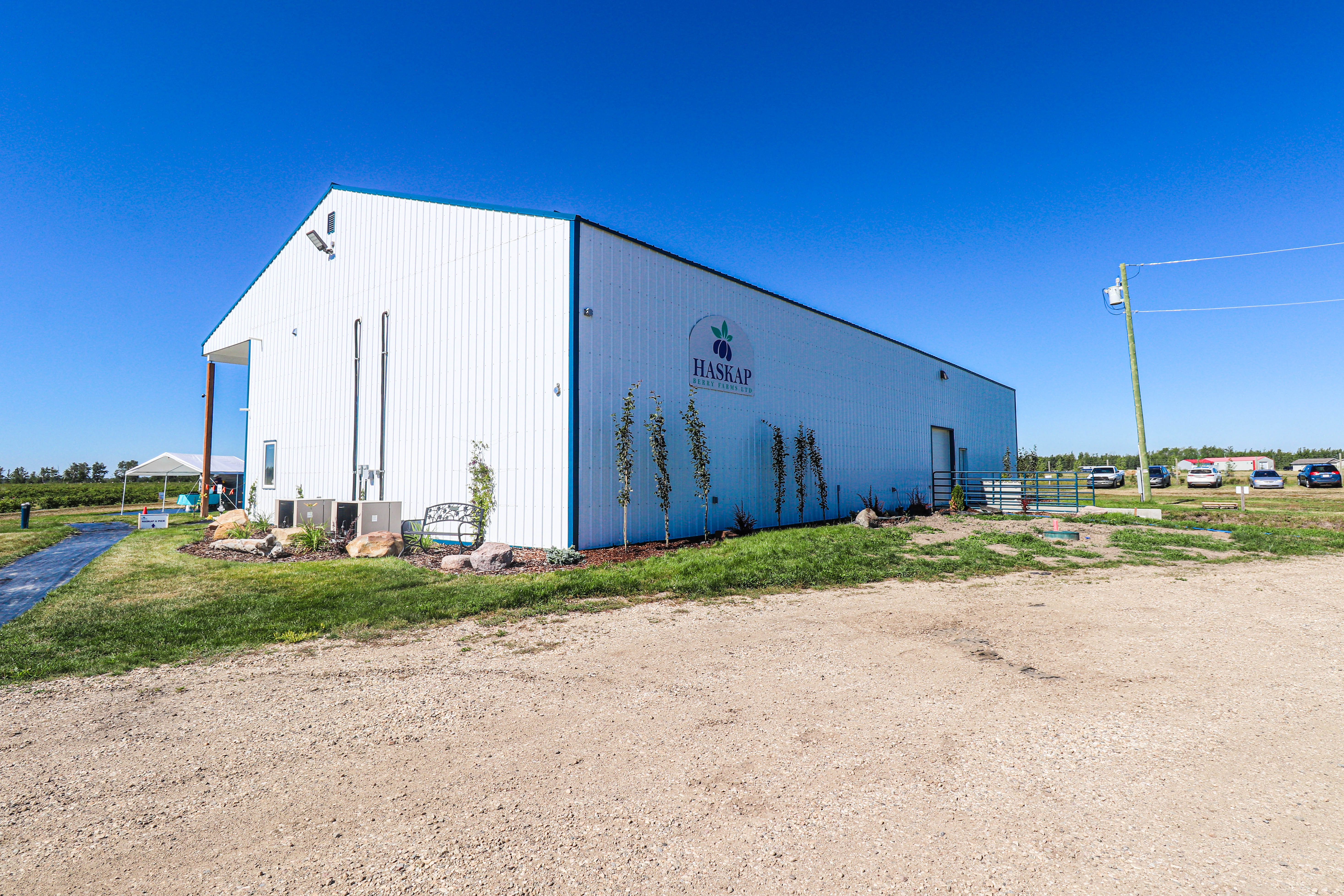 Haskap Berry Farm
