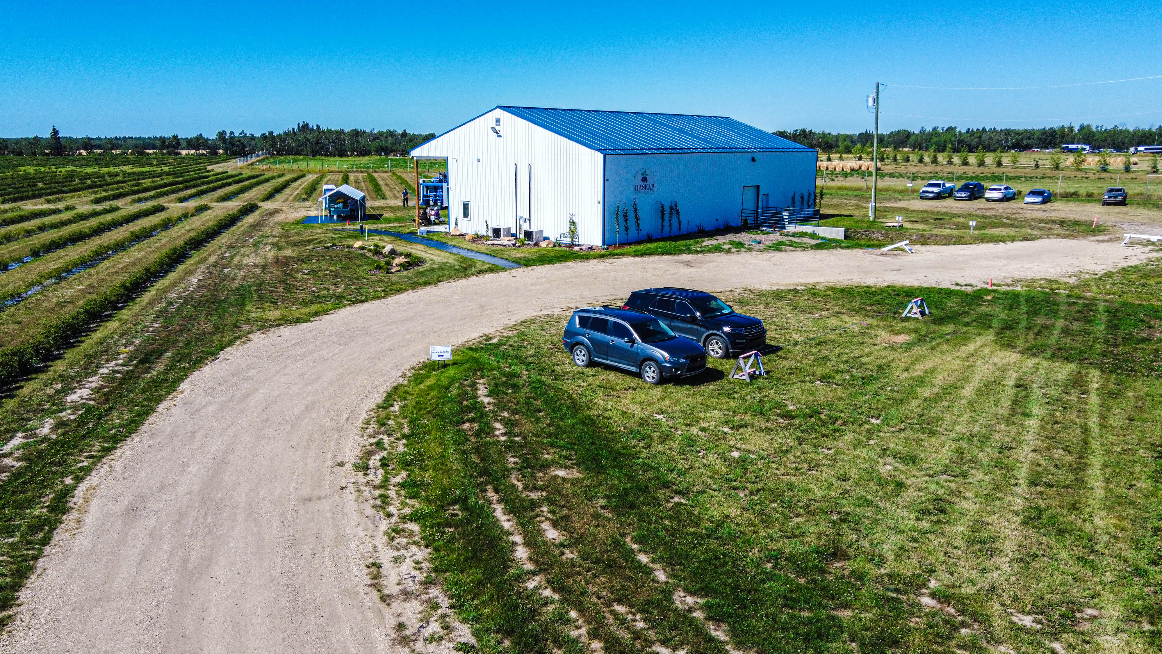Haskap Berry Farm, 705068 Range Road 82, Wembley, AB T0H 3S0, Canada
